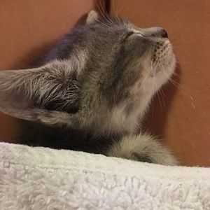 Meet your Posher, Iasmina